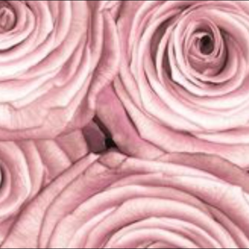 Meet your Posher, Tina